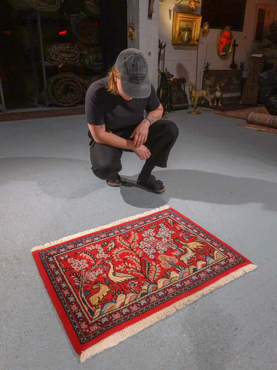 lumoava pieni eläinaiheinen sarouk 78 x 56 cm