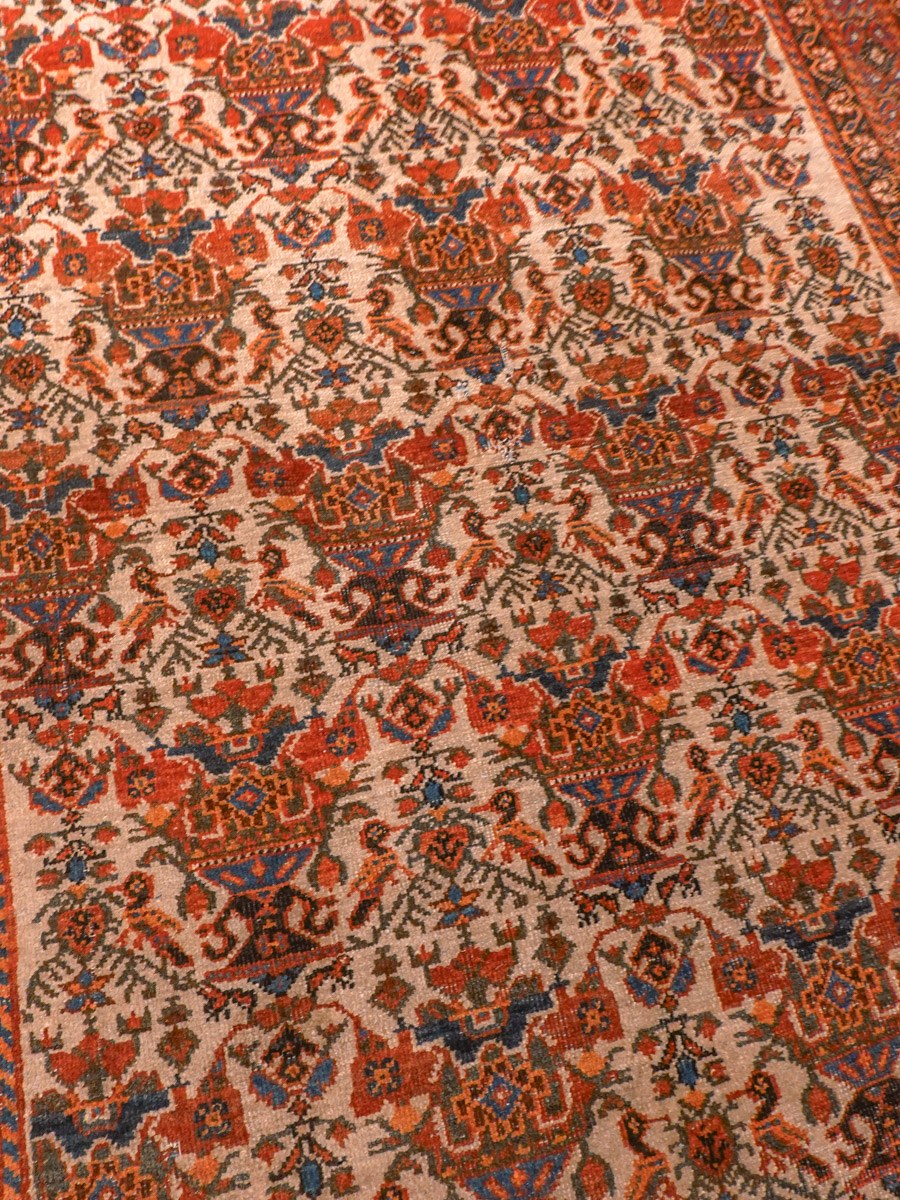 Maanläheinen käsinsolmittu Afshar-villamatto, 207 × 146 cm