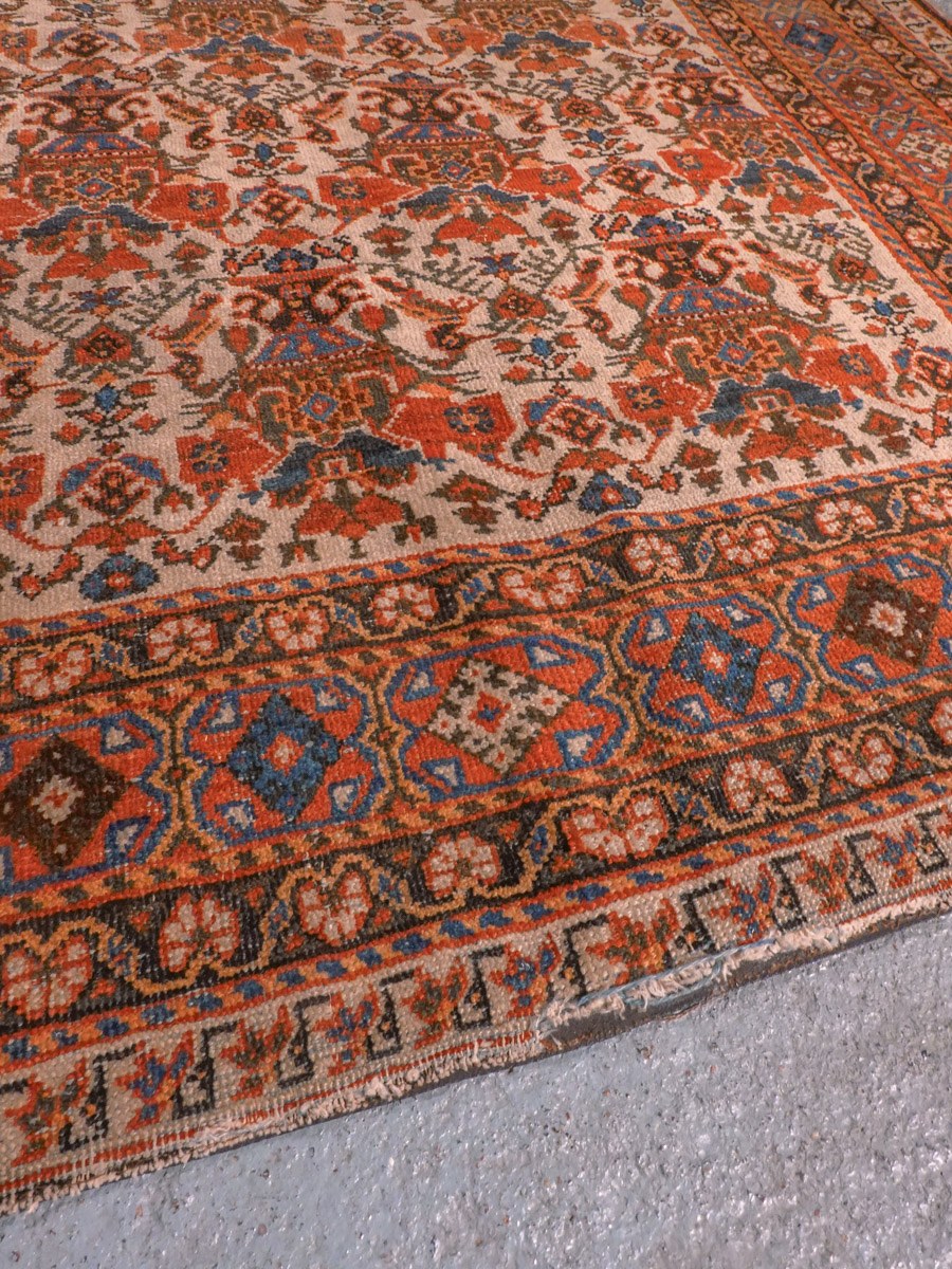 Afshar-maton reunan yksityiskohta