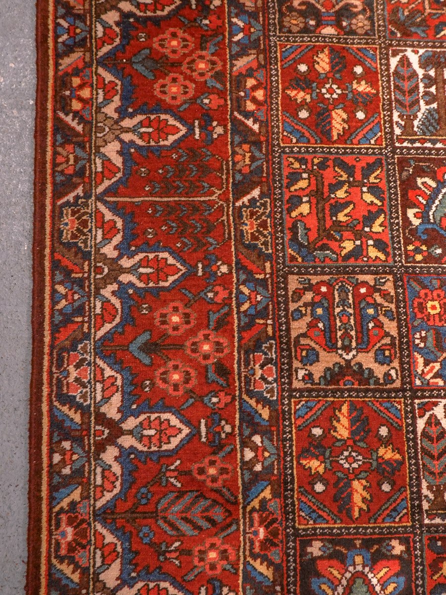 Punainen käsinsolmittu Bahtijaari-villamatto, 376 × 308 cm