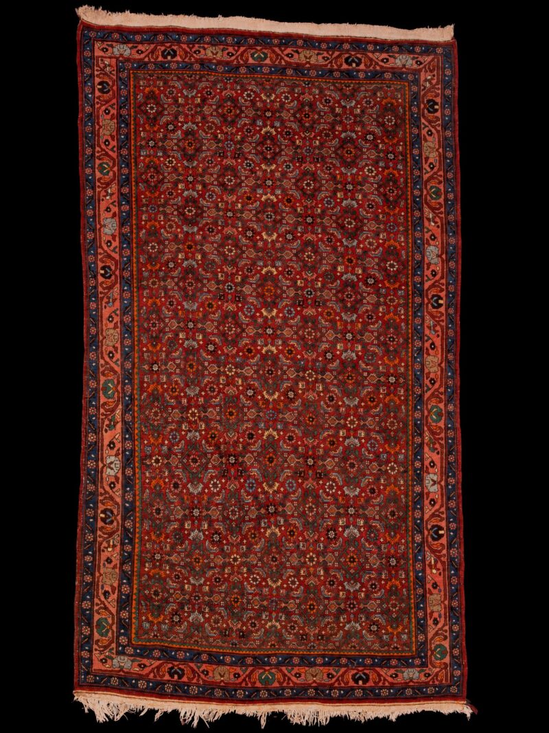 Punainen käsinsolmittu Bijar-villamatto, 243 × 139 cm