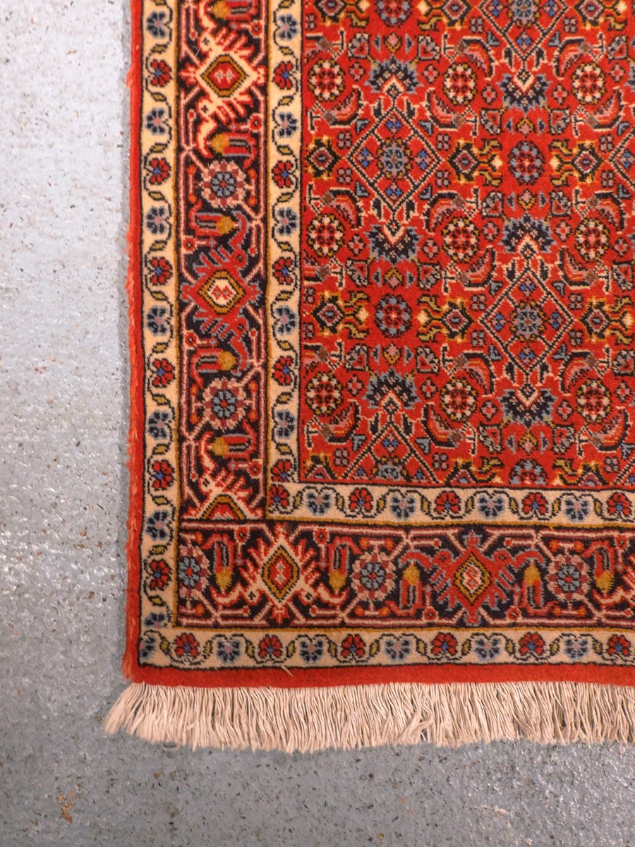 Punainen käsinsolmittu Bijar-villamatto, 250 × 92 cm