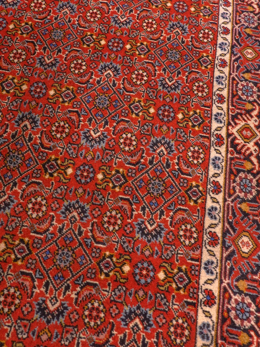 Punainen käsinsolmittu Bijar-villamatto, 250 × 92 cm