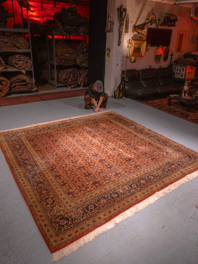 Punainen käsinsolmittu Bijar-villamatto, 254 × 247 cm
