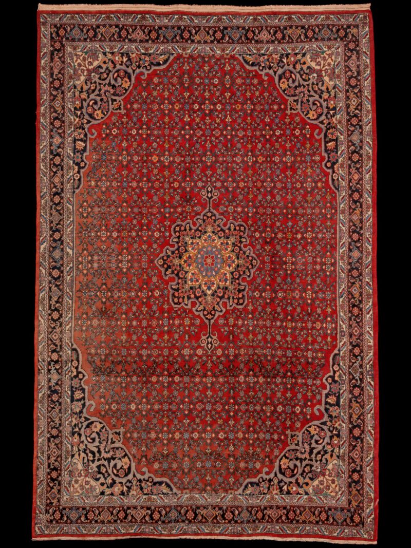 Punainen käsinsolmittu Bijar-villamatto, 335 × 217 cm