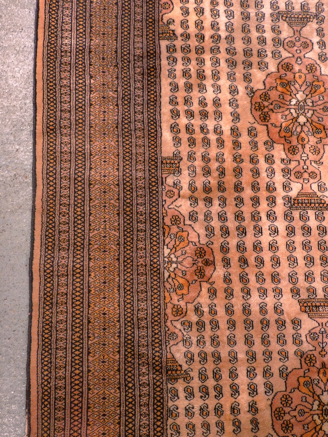 Buhara-maton reunan yksityiskohta