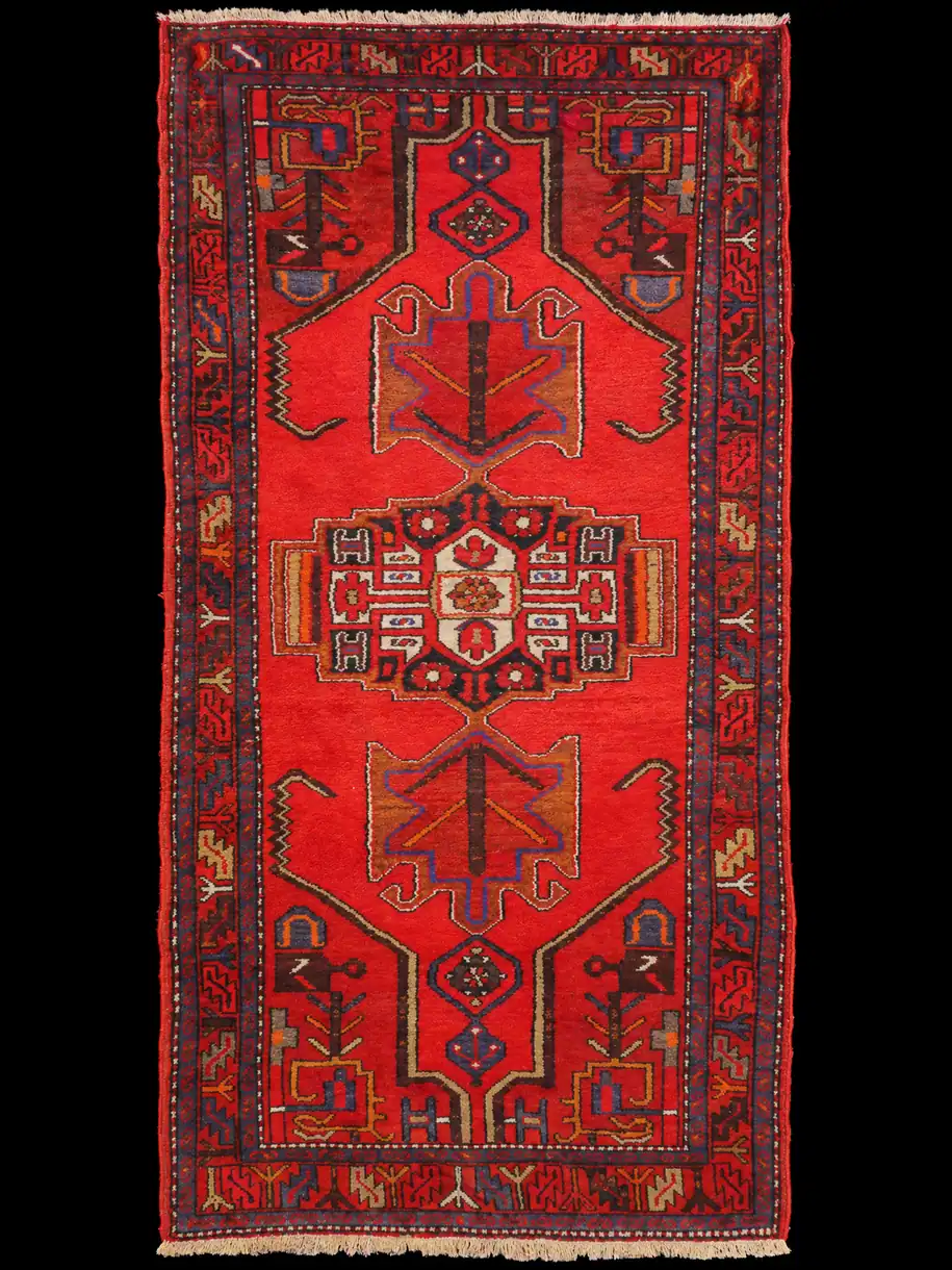 Tyylikkään kirkas Hamadan – 215 x 110 cm