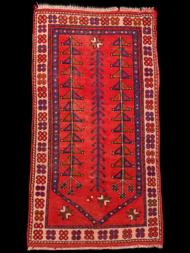 Veikeä Anatolialainen – 145 x 82 cm
