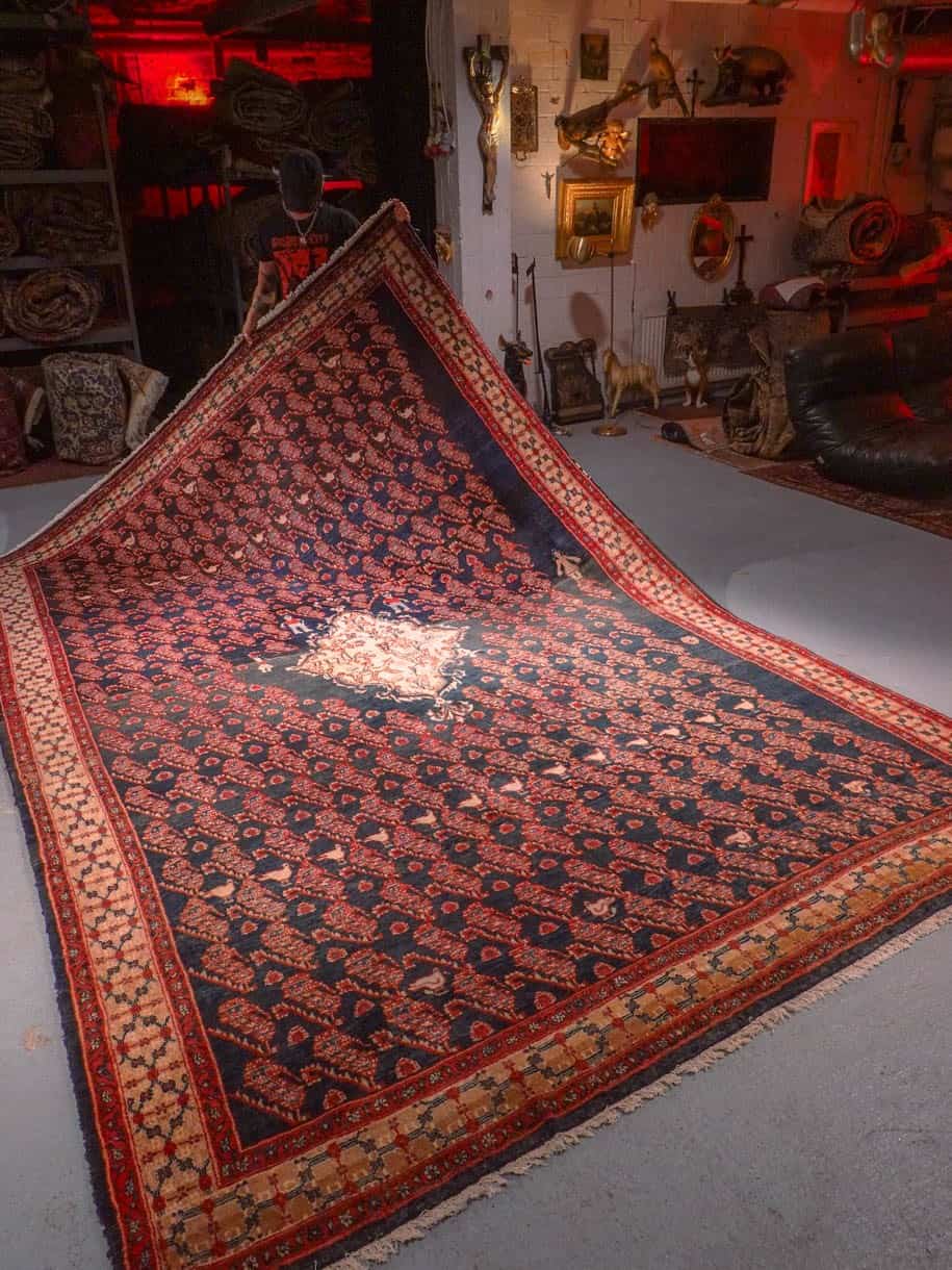 Muu käsinsolmittu Koliai-villamatto, 375 × 260 cm