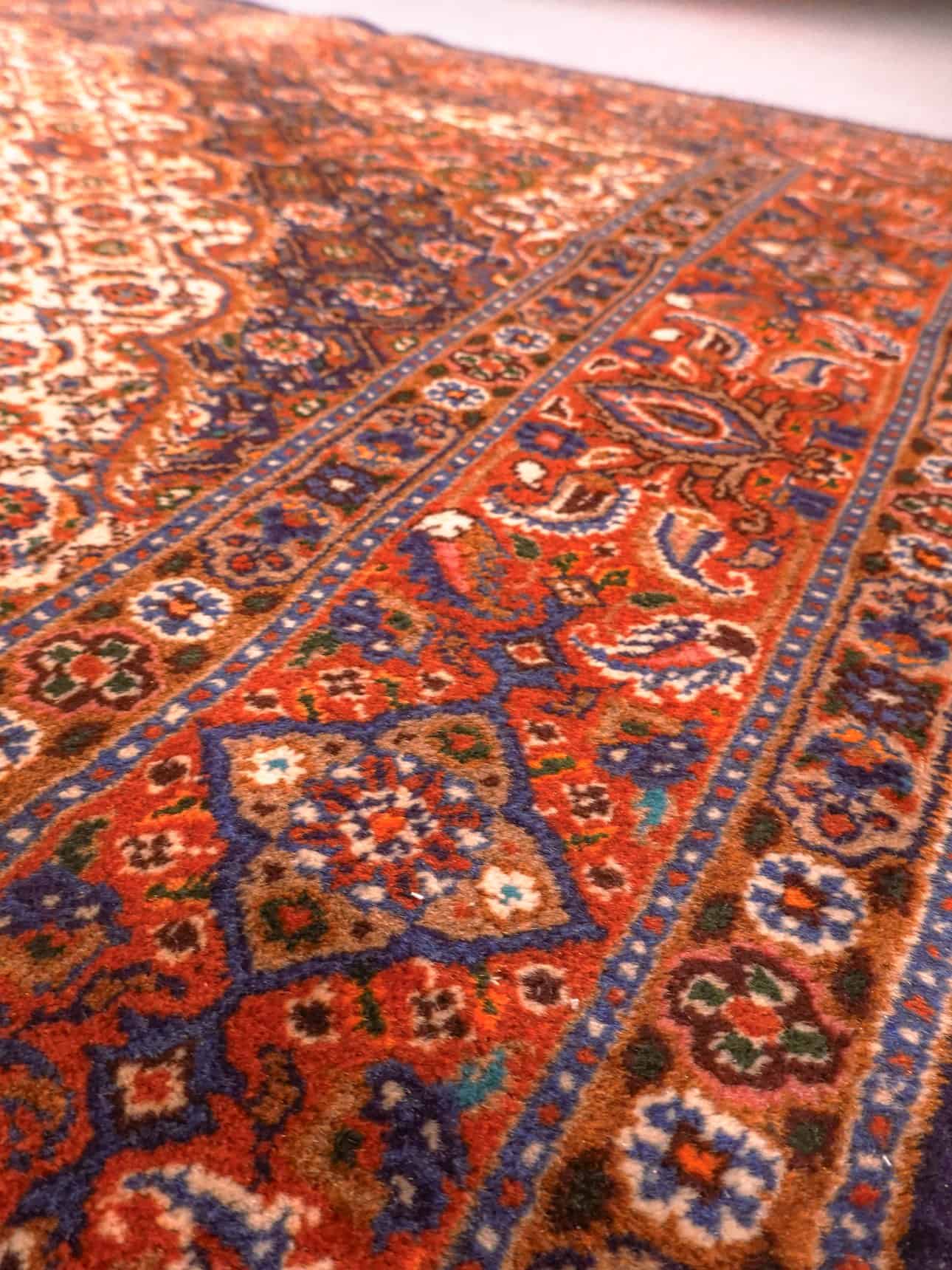 Maanläheinen käsinsolmittu Moud-villamatto, 300 × 205 cm