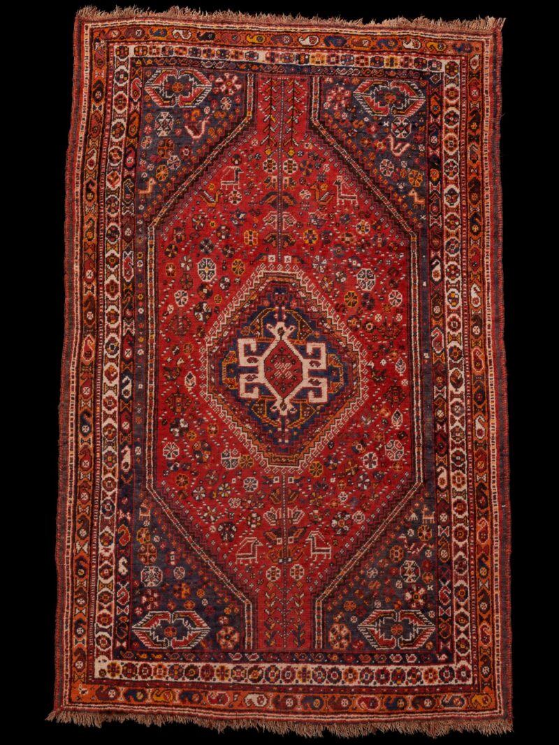 Punainen käsinsolmittu Shiraz-villamatto, 180 × 118 cm