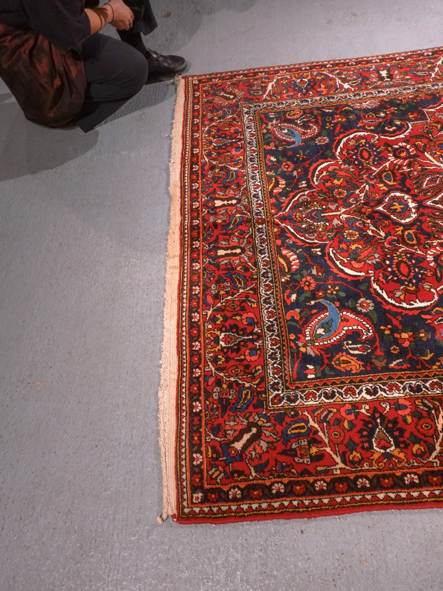 Punainen käsinsolmittu Bahtijaari-villamatto, 278 × 164 cm