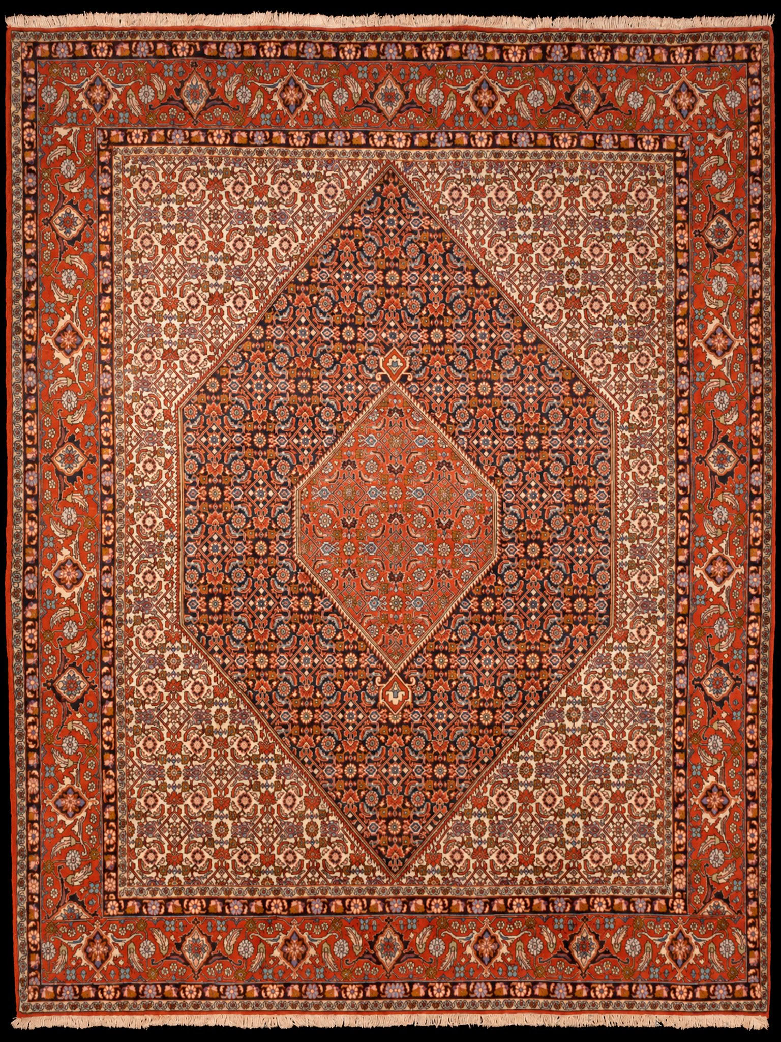 Punainen käsinsolmittu Bijar-villamatto, 255 × 198 cm