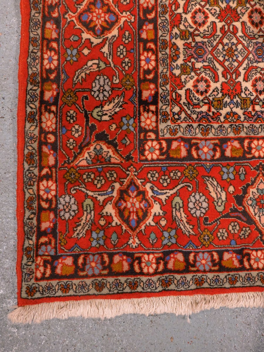 Punainen käsinsolmittu Bijar-villamatto, 255 × 198 cm