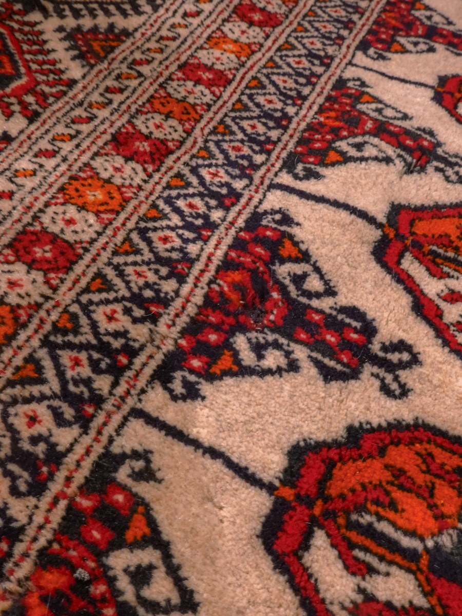 Buhara-maton reunan yksityiskohta