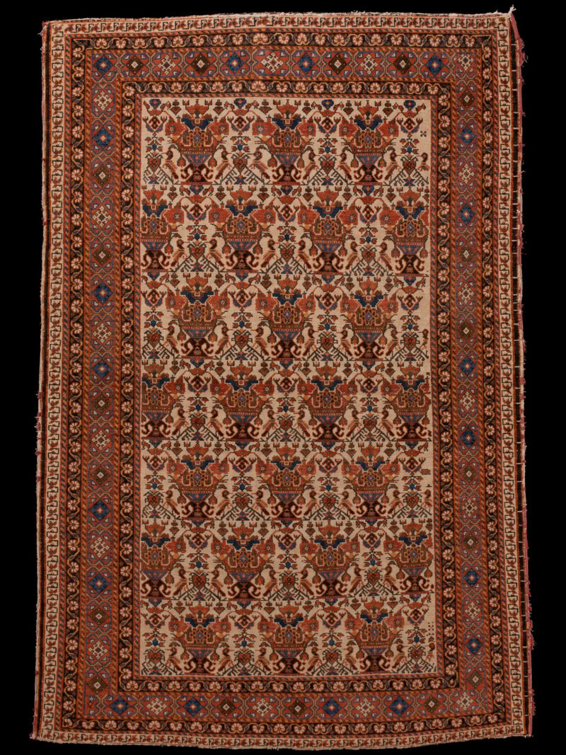 Maanläheinen käsinsolmittu Afshar-villamatto, 207 × 146 cm