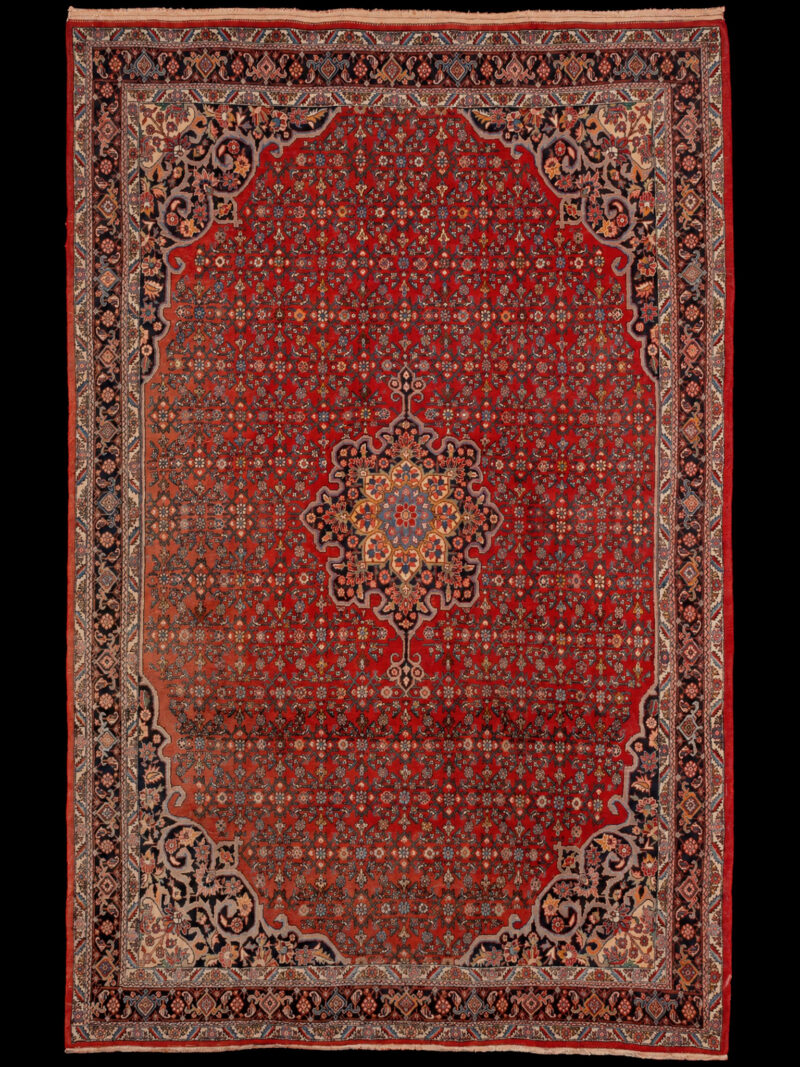 Punainen käsinsolmittu Bijar-villamatto, 335 × 217 cm