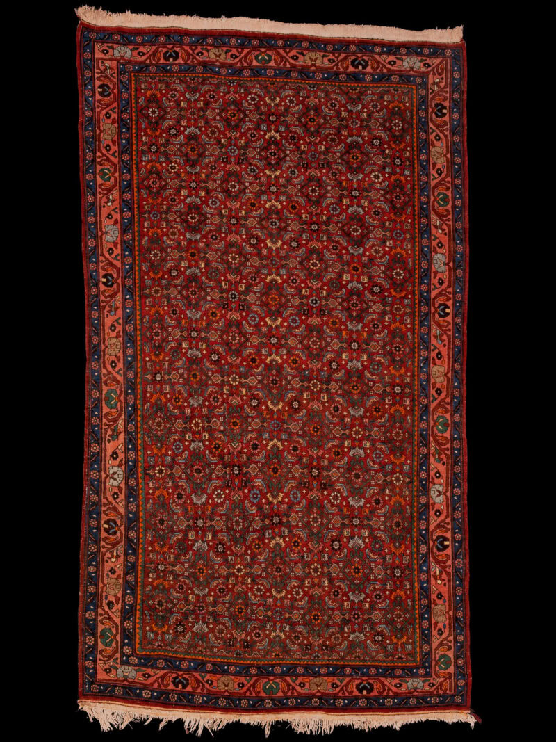 Punainen käsinsolmittu Bijar-villamatto, 243 × 139 cm