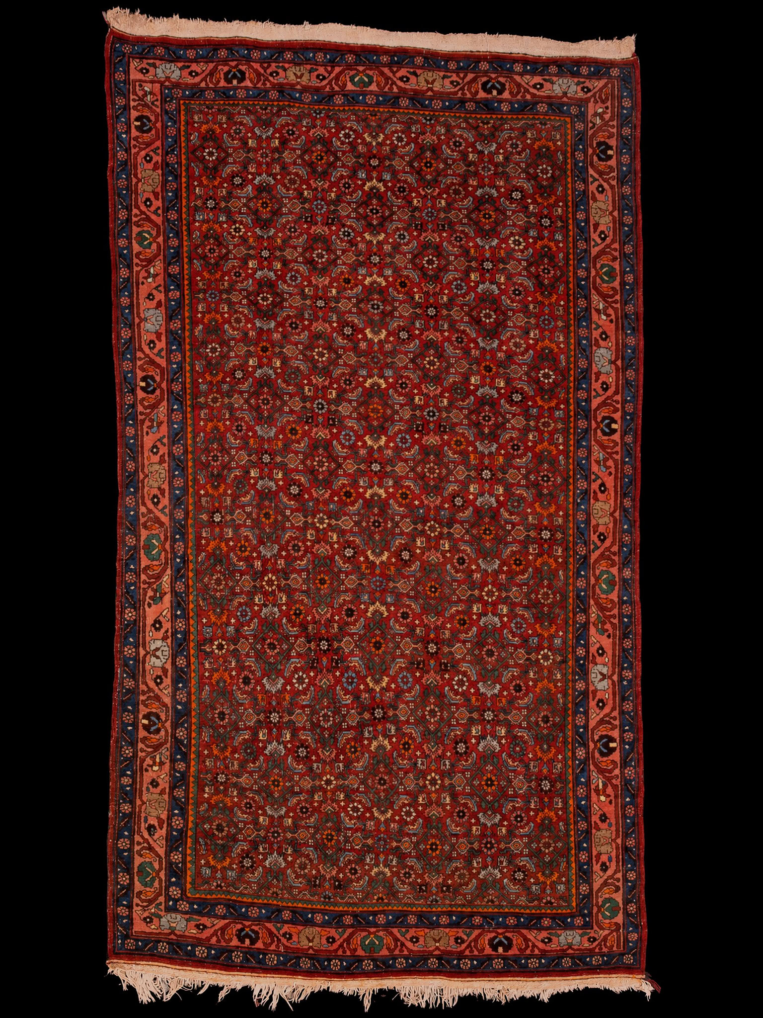Punainen käsinsolmittu Bijar-villamatto, 243 × 139 cm