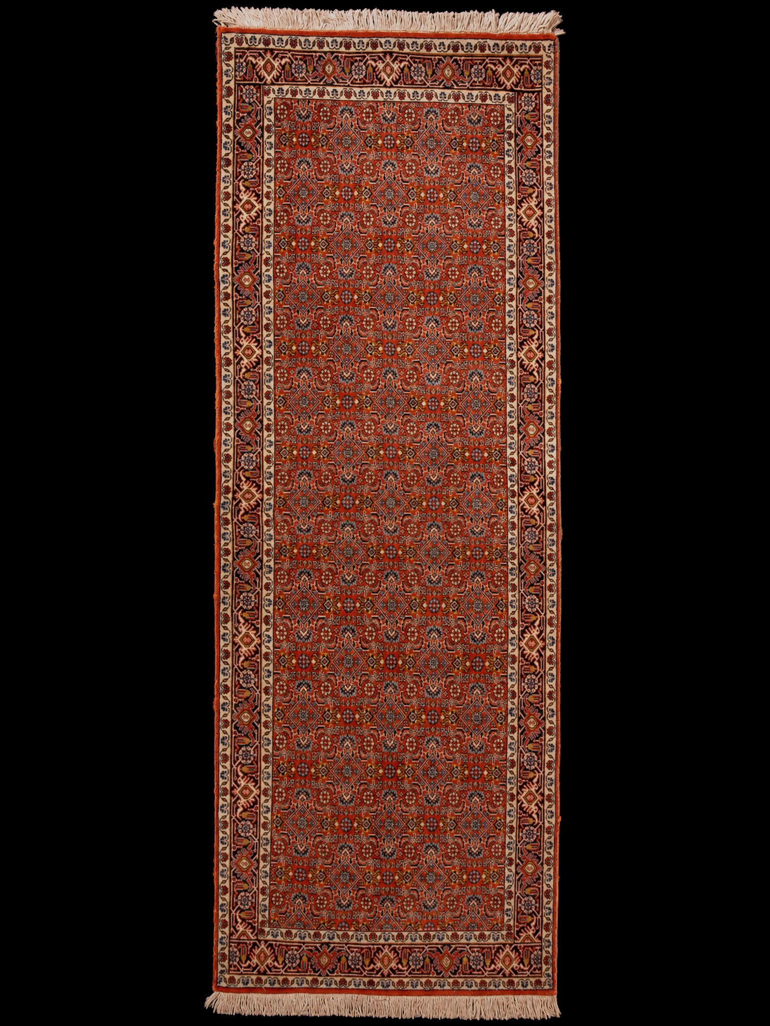 Punainen käsinsolmittu Bijar-villamatto, 250 × 92 cm