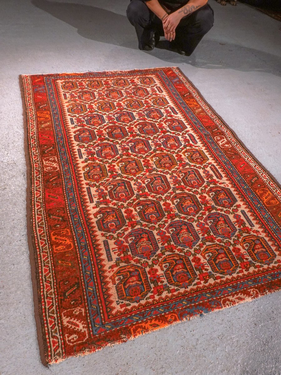 Punainen käsinsolmittu Malayer-villamatto, 168 × 111 cm