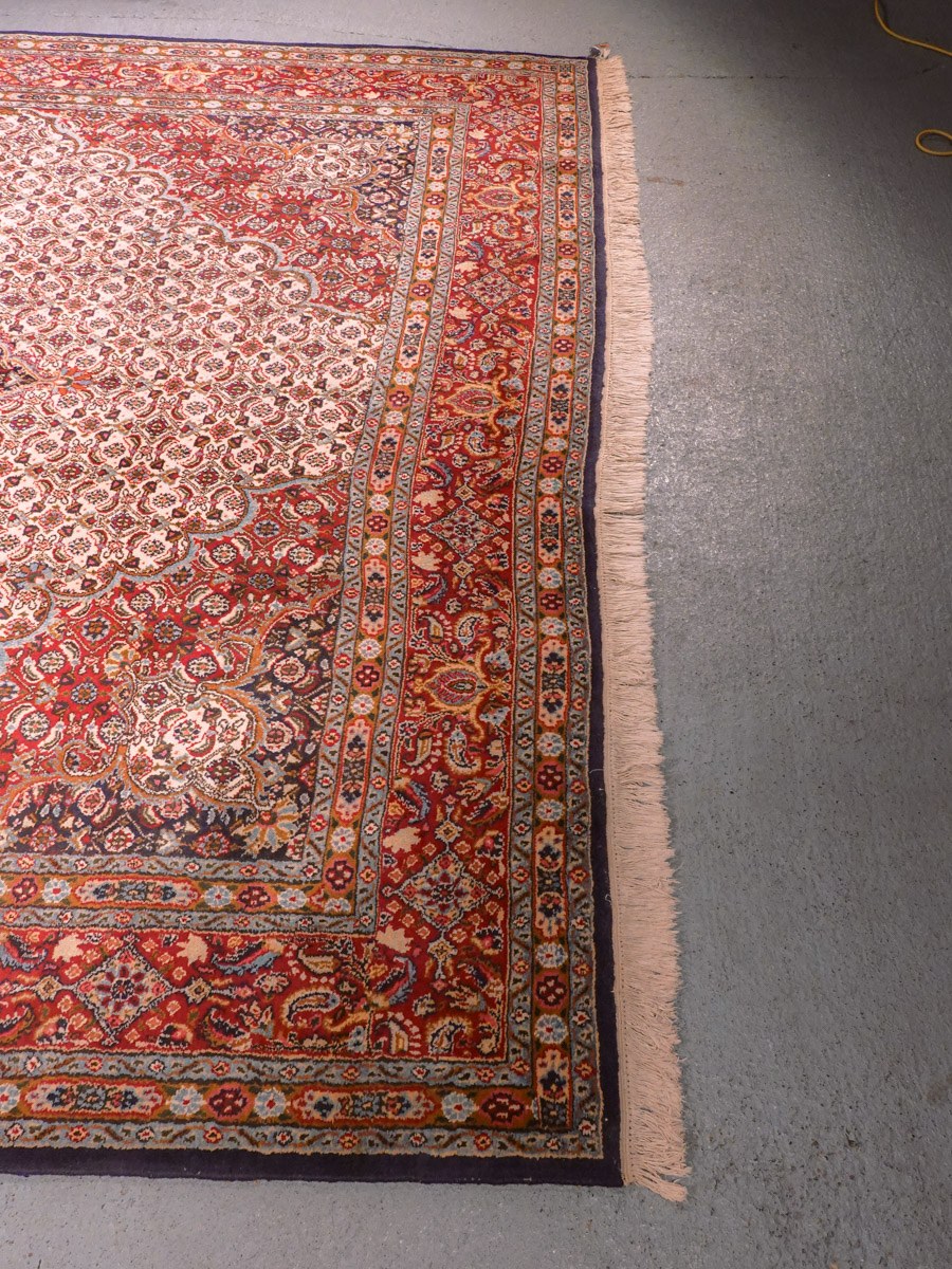 Vaalea käsinsolmittu Moud-villamatto, 383 × 243 cm